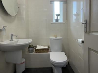 Picture 26